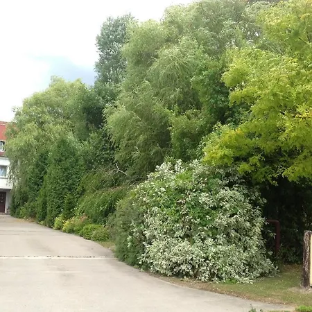 בית הארחה Landhaus Neu-golm